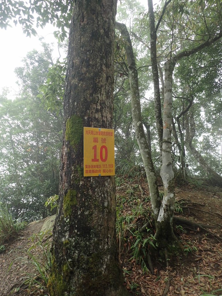 P9250226.JPG - 南庄  向天湖山  光天高山