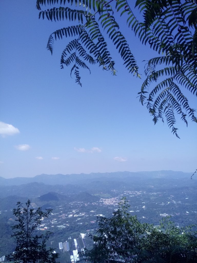 DSC_4037.JPG - 魚池  過坑山登山步道