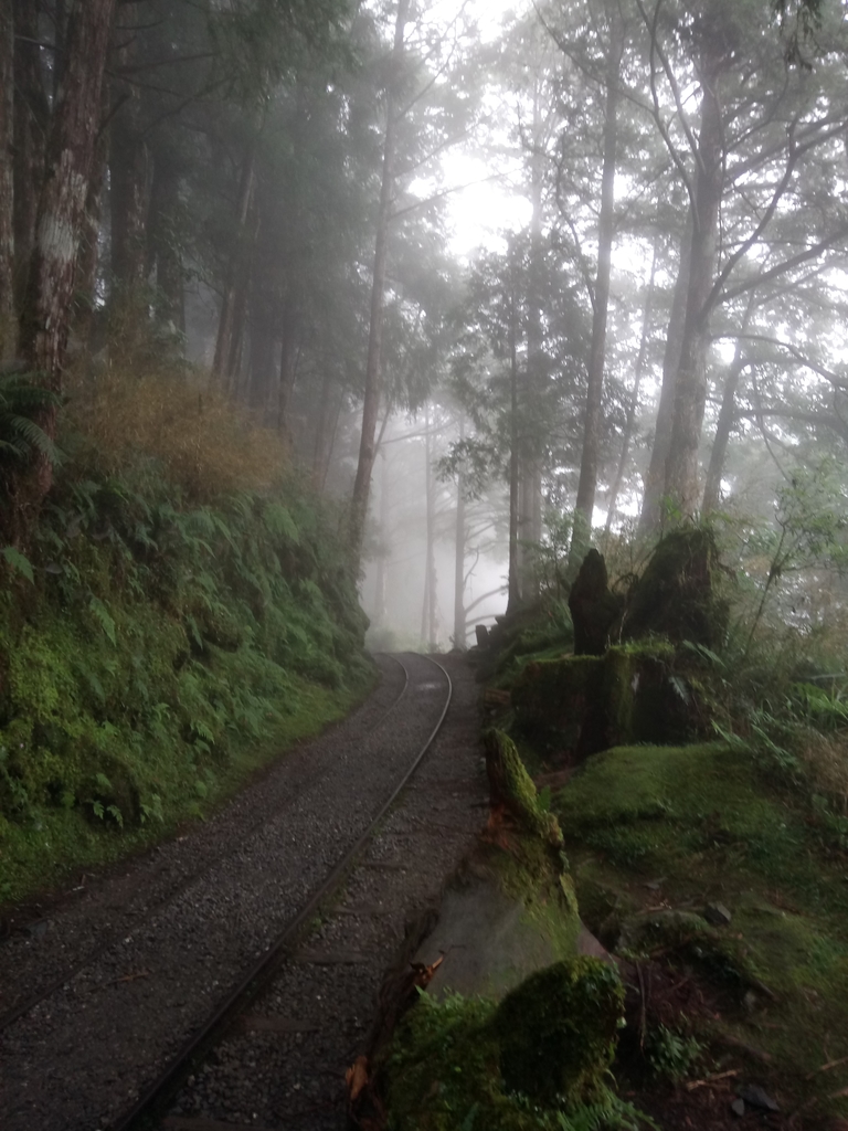 DSC_5613.JPG - 太平山 見晴懷古步道