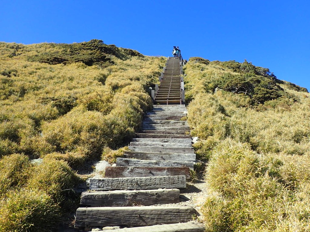 PC132114.JPG - 合歡山  東峰