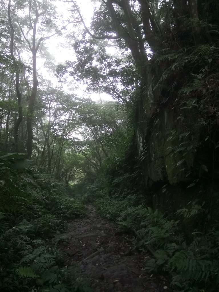 DSC_6196.JPG - 三峽  白雞山登山步道