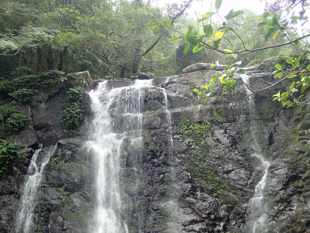 P3029002.JPG - 三峽  滿月圓森林遊樂區