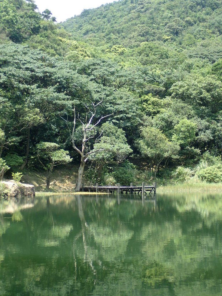 P8136350.JPG - 汐止  新山夢湖