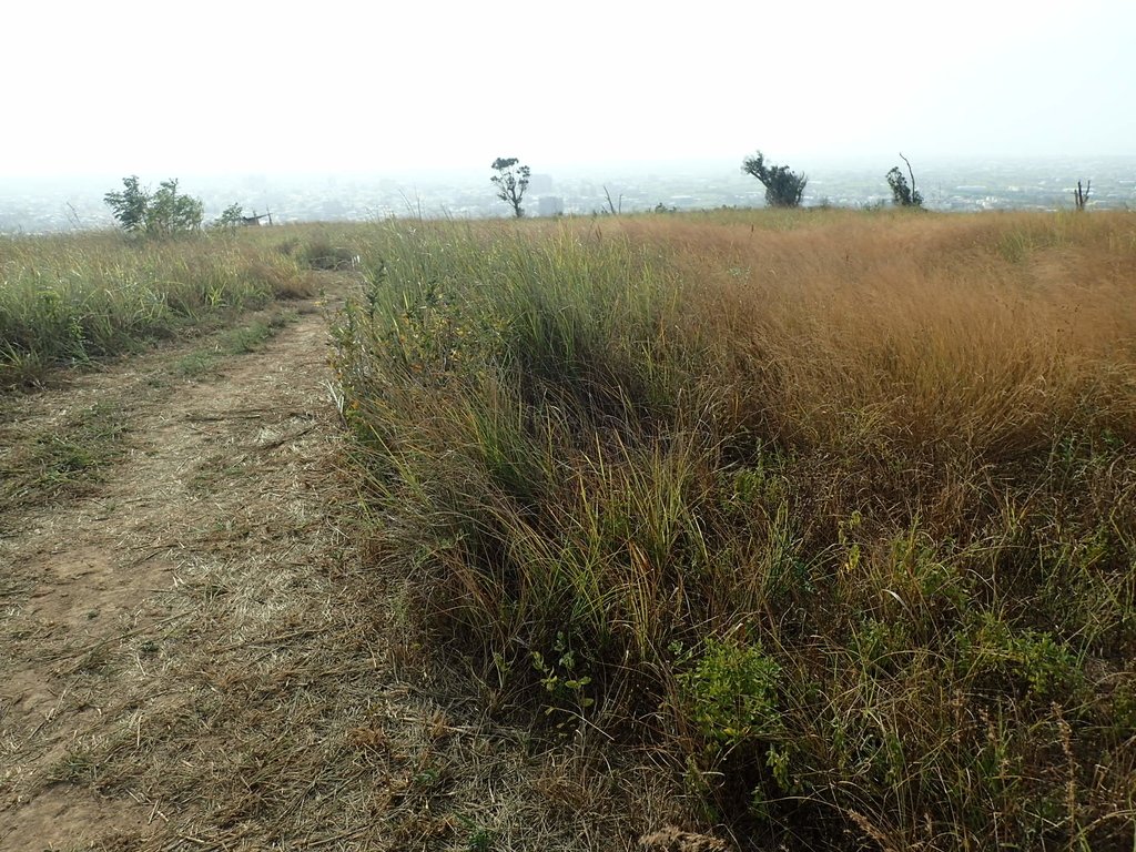 PA160956.JPG - 大甲  鐵砧山大草原