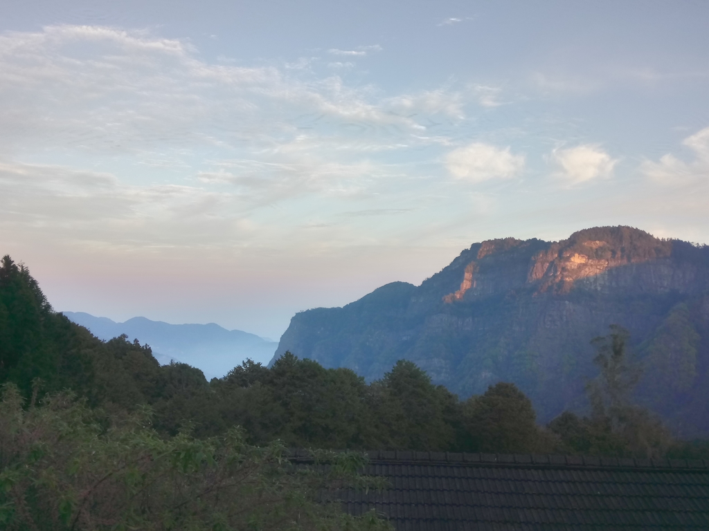 DSC_1625.JPG - 阿里山  沼平公園  賞櫻