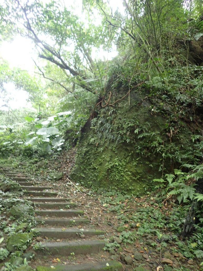 P3018873.JPG - 深坑  土庫岳登山步道  (02)