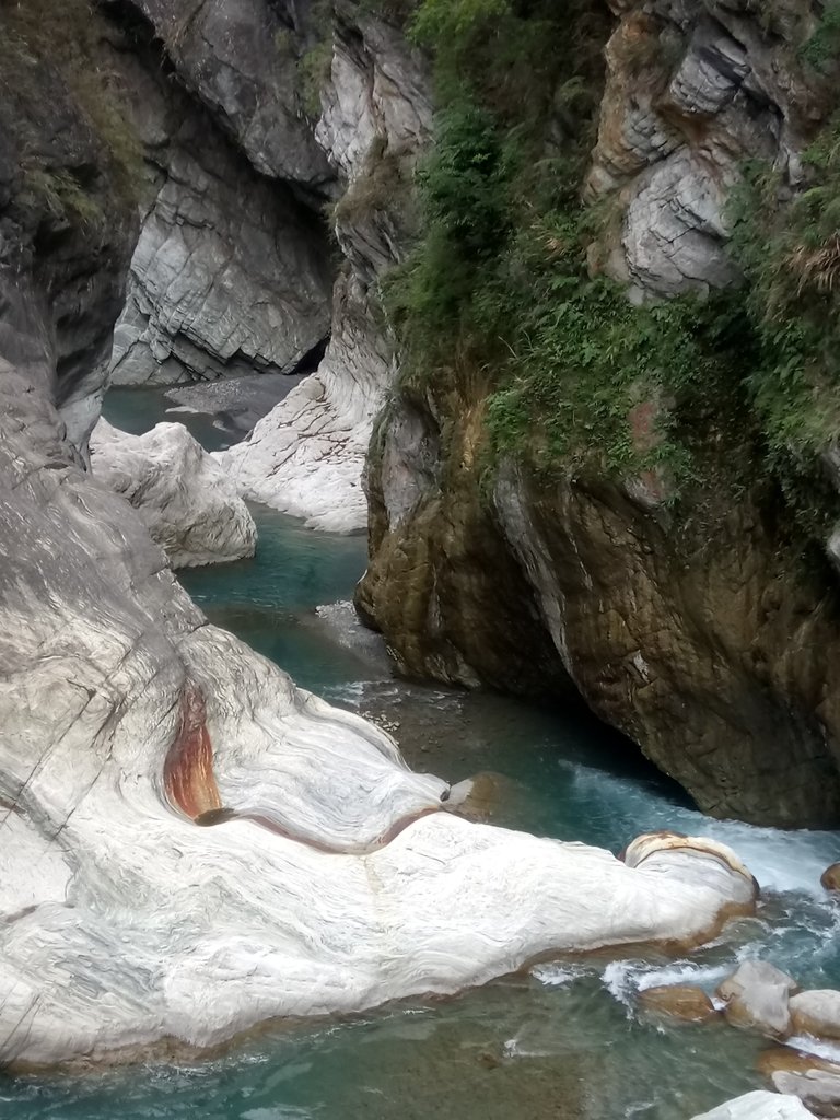 DSC_0567.JPG - 花蓮  天祥  白楊步道