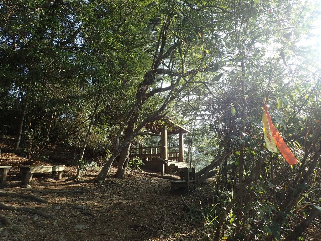 P3167136.JPG - 谷關  德芙蘭步道