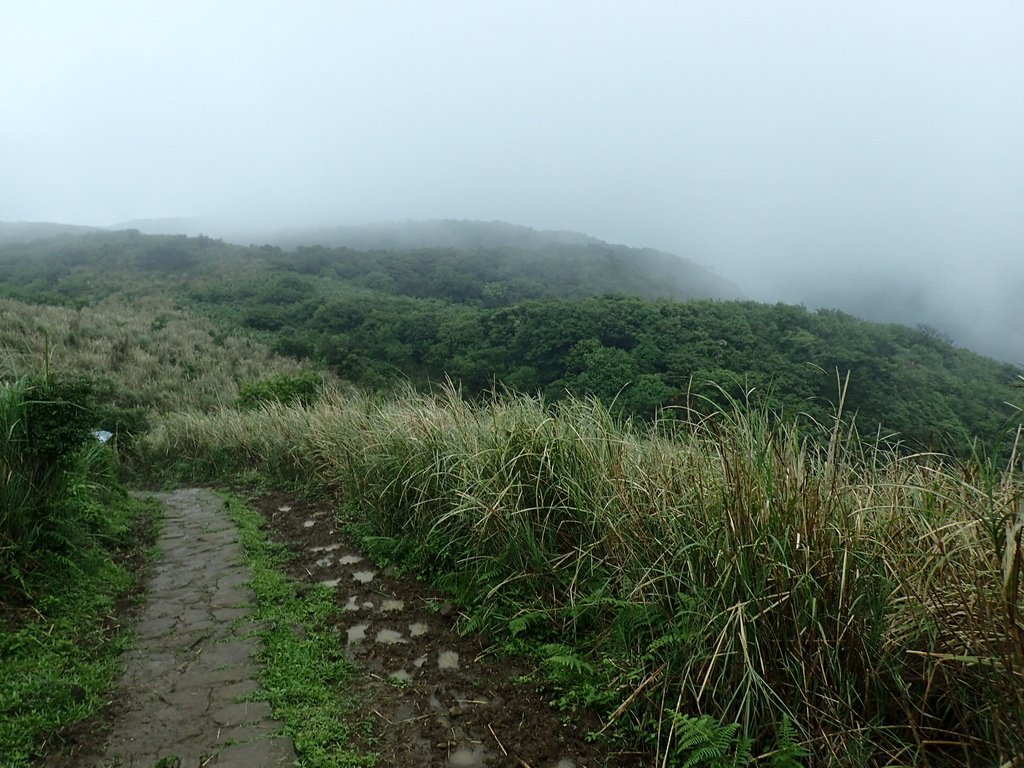 P5303960.JPG - 萬里  風櫃嘴  頂山