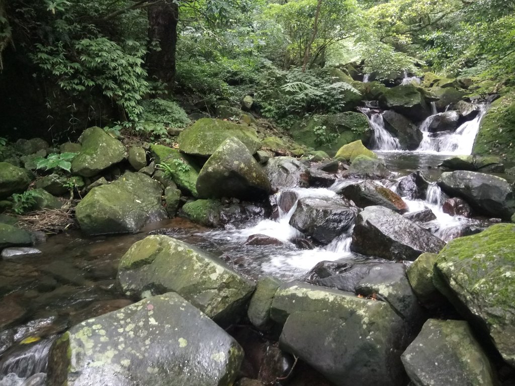 DSC_0724.JPG - 三芝  大屯溪古道