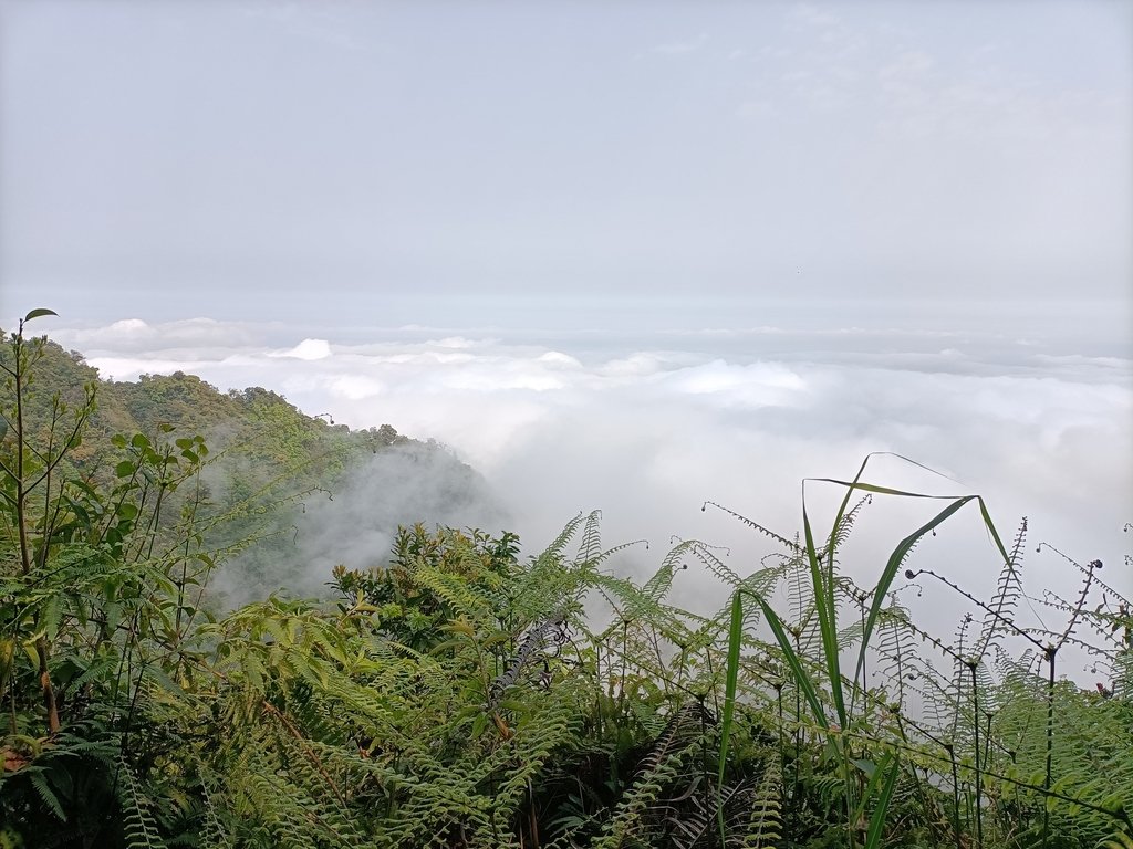 IMG20210403091620.jpg - 五峰  鵝公髻山登山步道  (01)