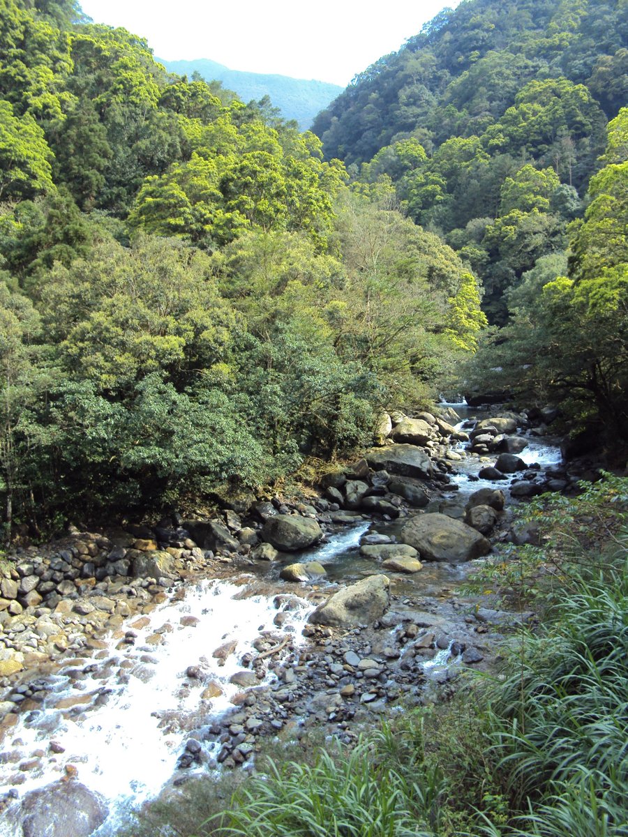 DSC04435.JPG - 三峽  滿月圓遊樂區