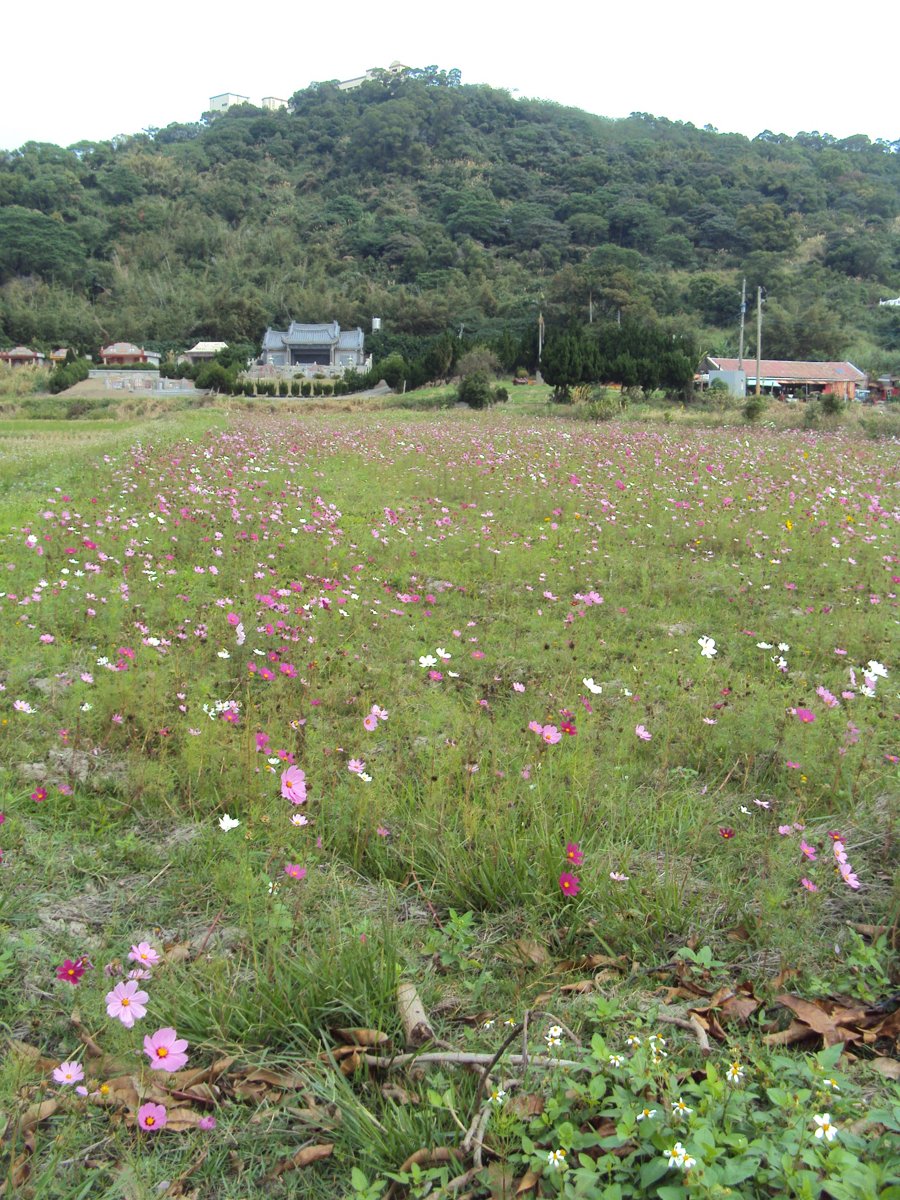 DSC06064.JPG - 竹北  東勢  鄉飲賓  曾純修墓