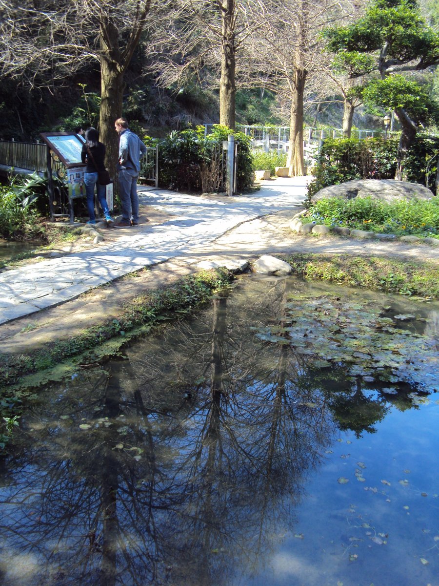 DSC03536.JPG - 新埔  九芎湖  落羽松