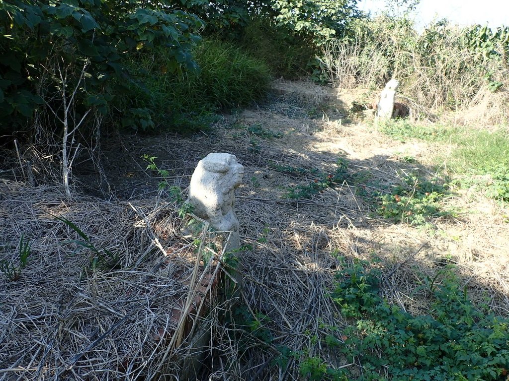 P1017805.JPG - 鹽水  菜園  儒林郎陳敏濟墓