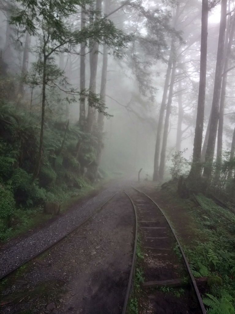 DSC_5615.JPG - 太平山 見晴懷古步道