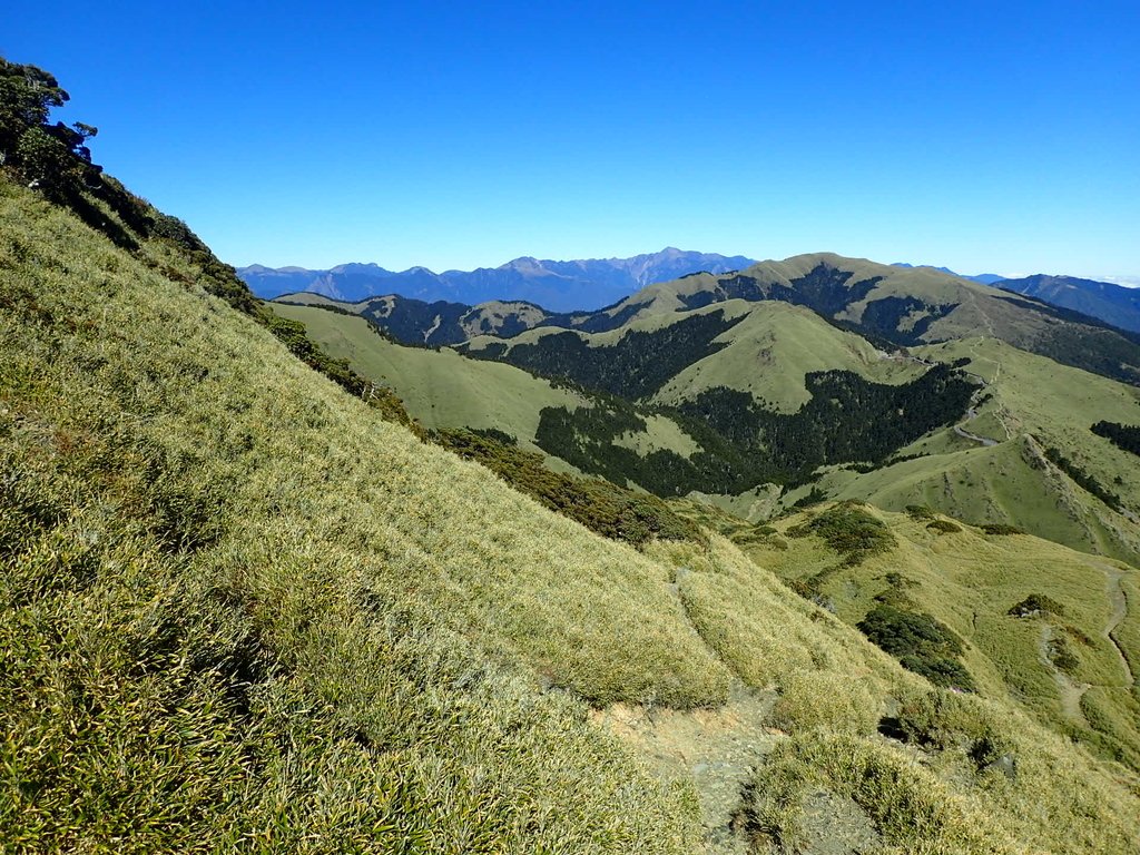 PC132117.JPG - 合歡山  東峰