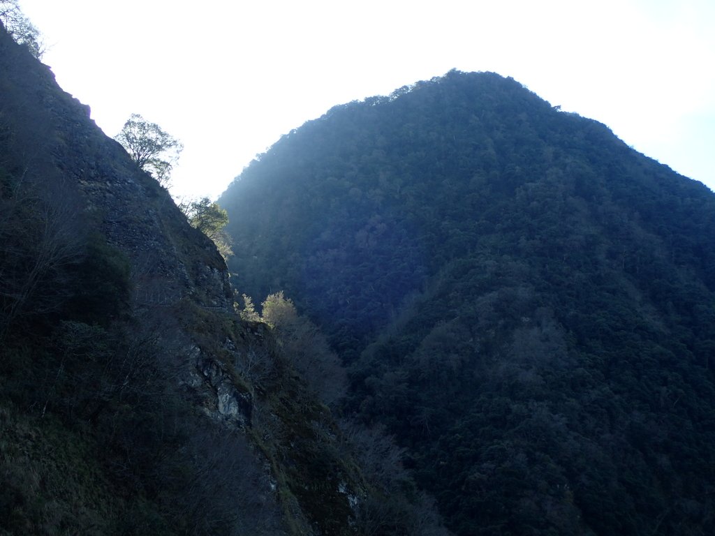 P1022688.JPG - 東埔  八通關古道