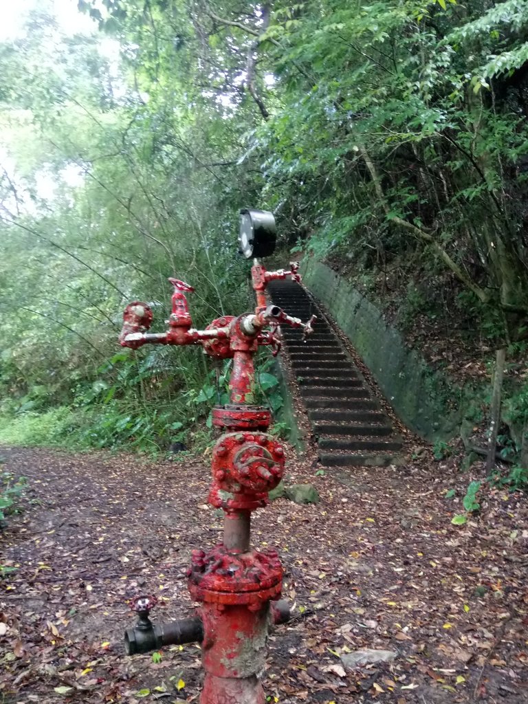 DSC_9623.JPG - 公館  出礦坑登山步道