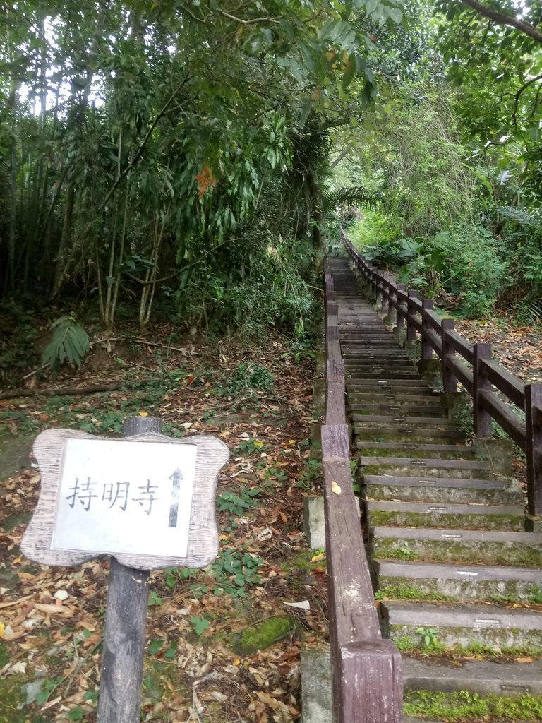 DSC_1200.JPG - 草嶺  茄苳步道  峭壁雄風