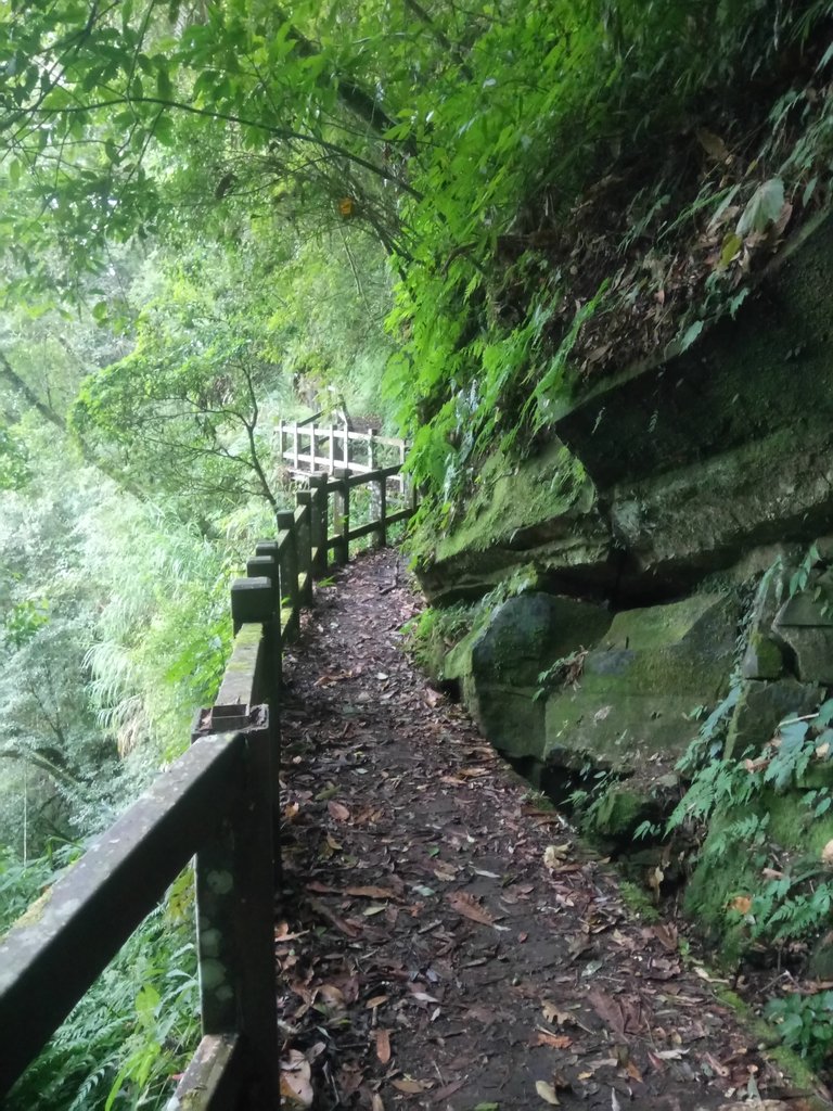 DSC_1291.JPG - 石壁山  嘉南雲峰步道