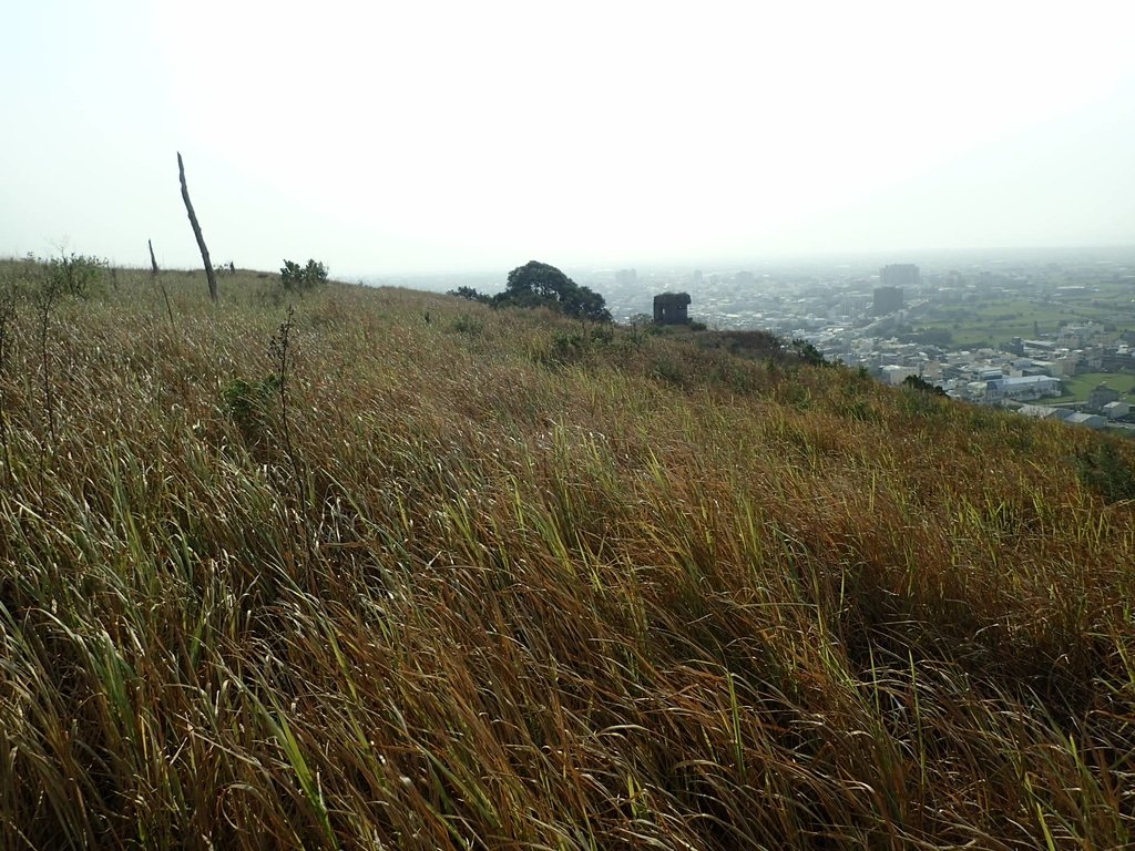 PA160962.JPG - 大甲  鐵砧山大草原