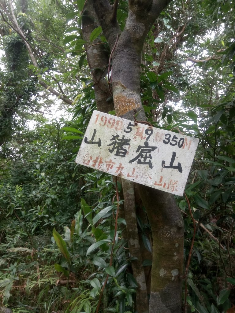 DSC_6021.JPG - 深坑  土庫岳登山步道  (01)