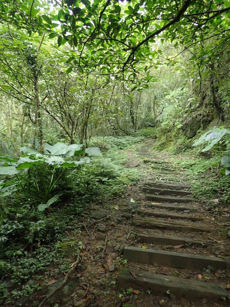 P3018876.JPG - 深坑  土庫岳登山步道  (02)