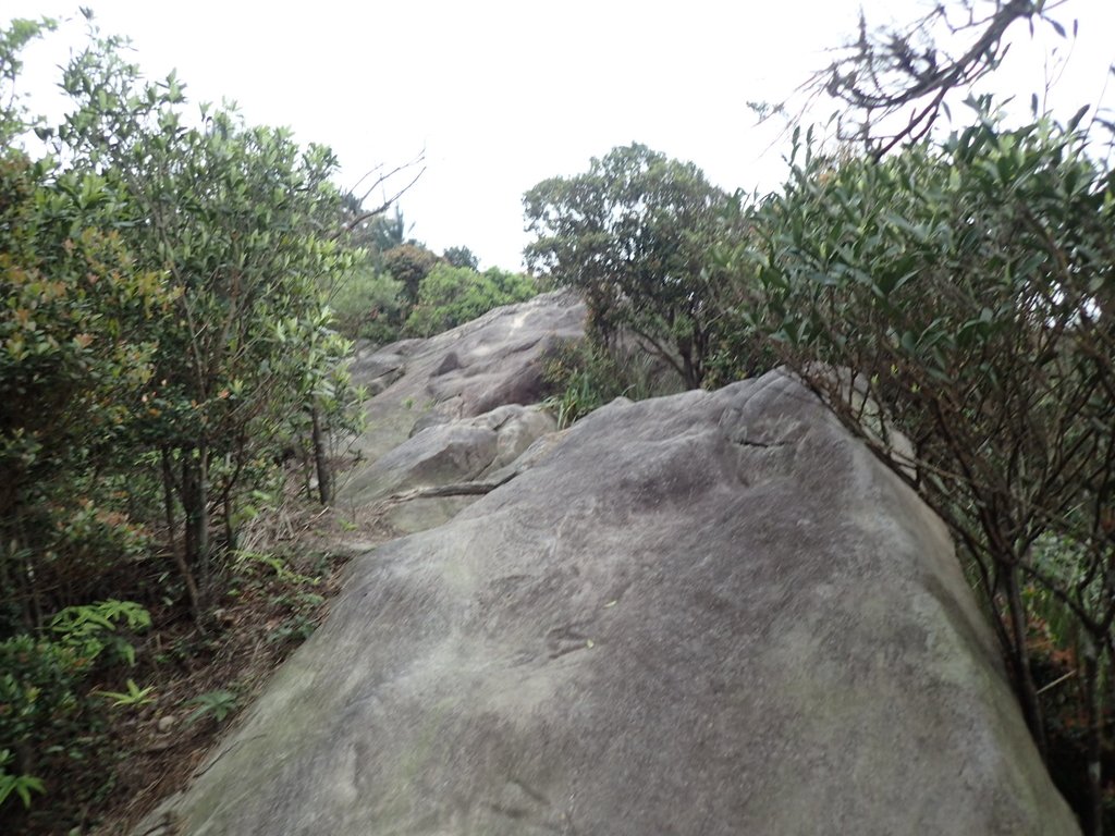 P3160055.JPG - 汐止  柯子林山  如意湖