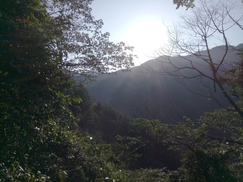 DSC_9841.JPG - 谷關  德芙蘭步道