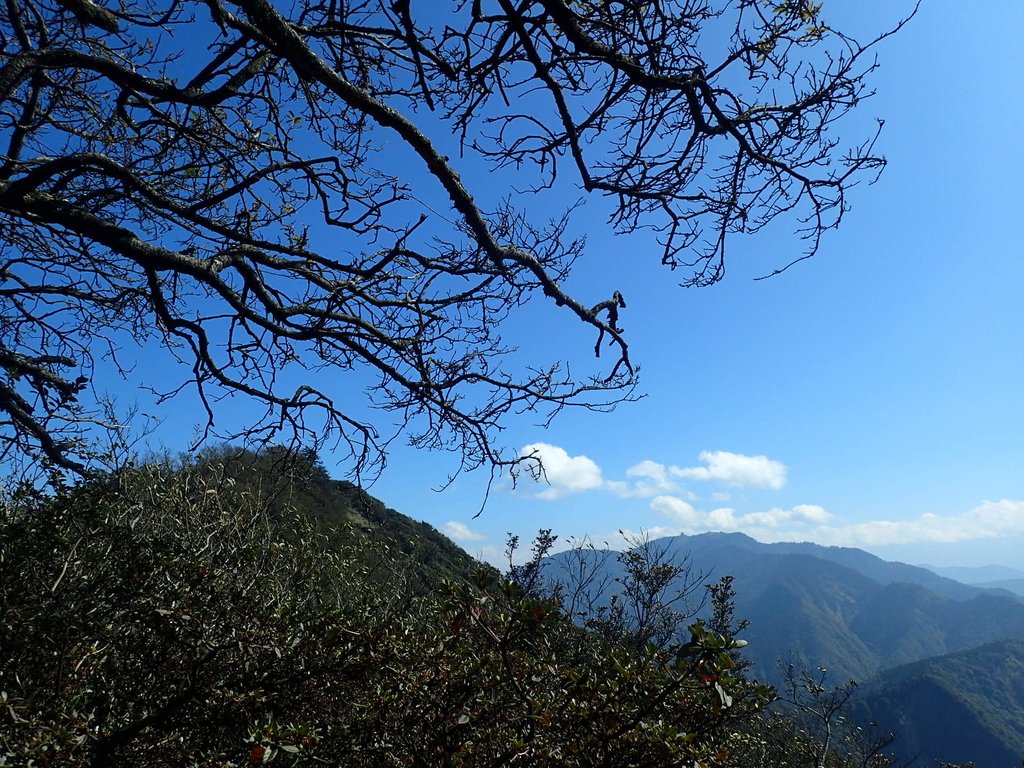 P2034811.JPG - 南庄  加里山