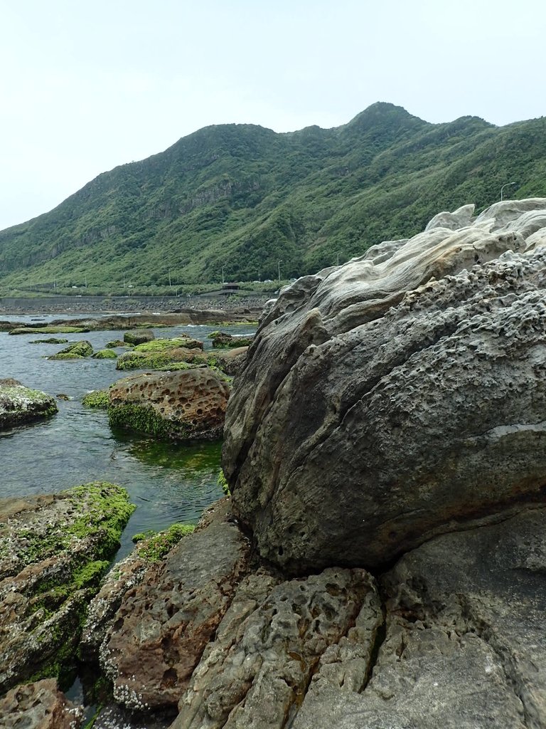 P5163277.JPG - 萬里  拳頭石海岸