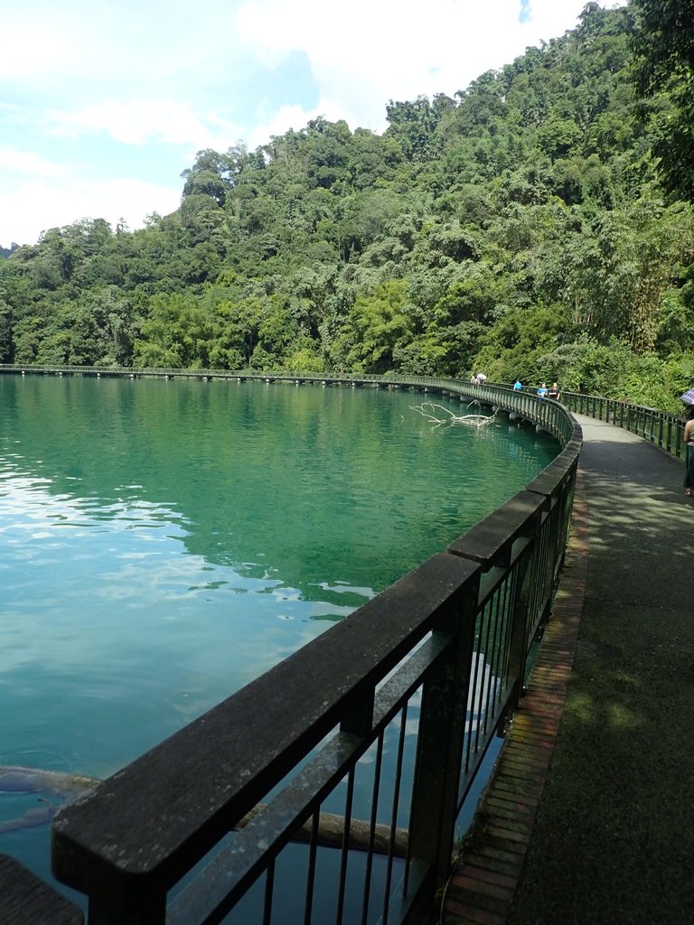 P9017583.JPG - 日月潭之  水蛙頭步道