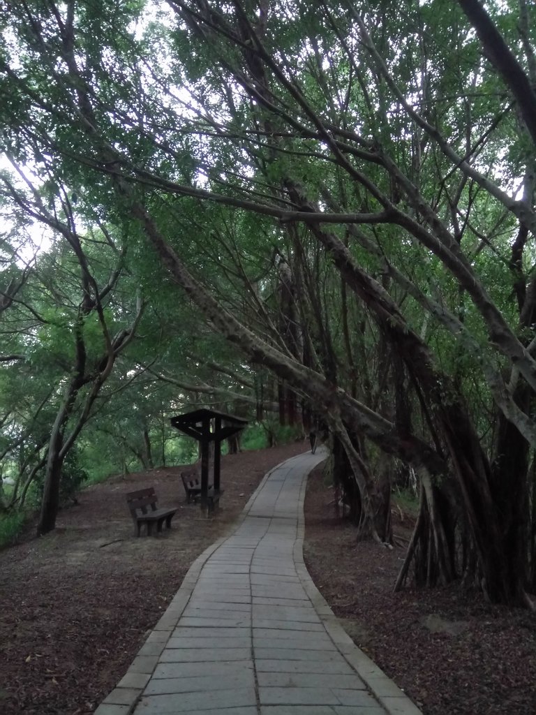 DSC_4006.JPG - 大肚  萬里長城登山步道