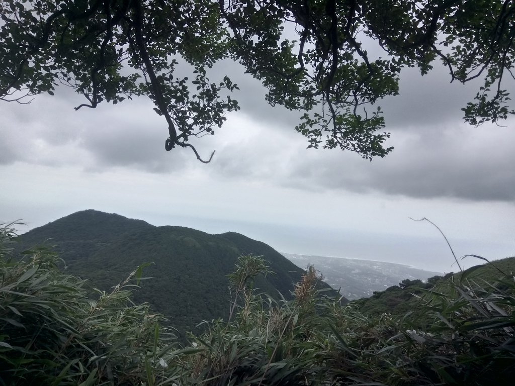 DSC_4521.JPG - 小觀音山  西峰登山步道