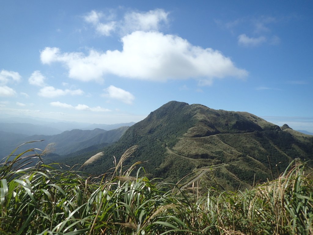 P1216551.JPG - 瑞芳  草山戰備道  (01)