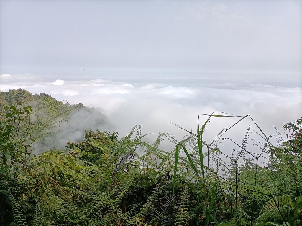 IMG20210403091624.jpg - 五峰  鵝公髻山登山步道  (01)