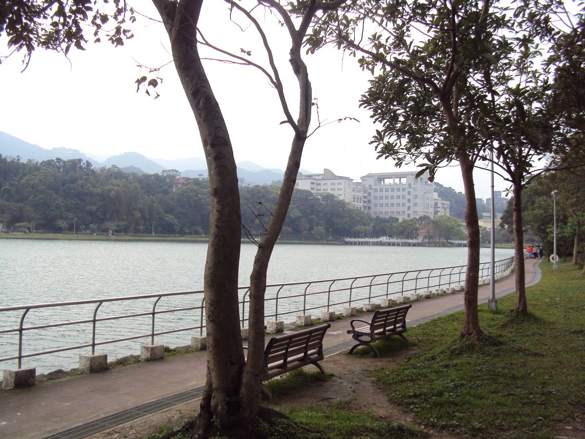 DSC04637.JPG - 內湖  碧湖環湖步道