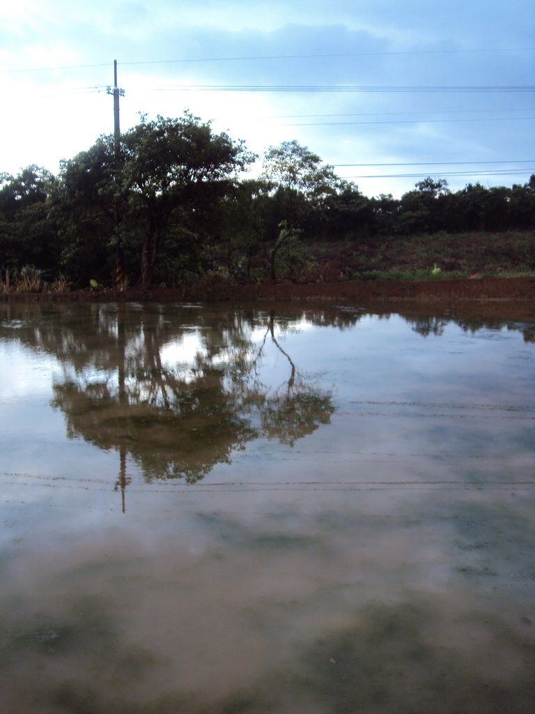 DSC09127.JPG - 石門  水塘映像