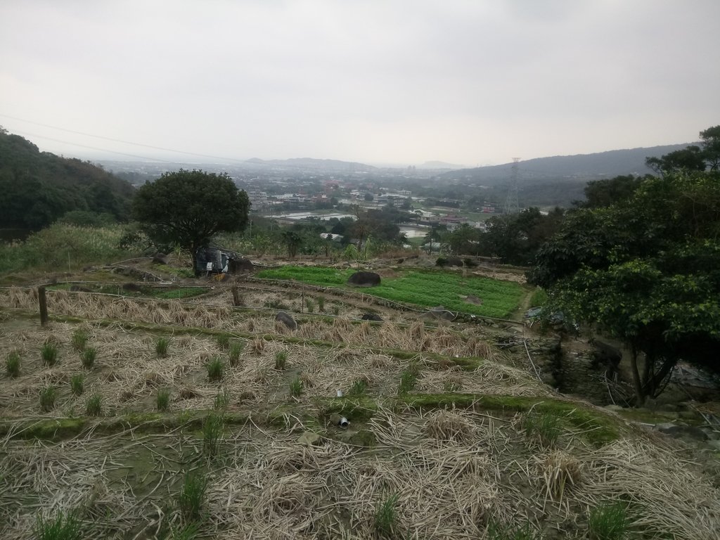 DSC_3332.JPG - 金山  大路崁古道