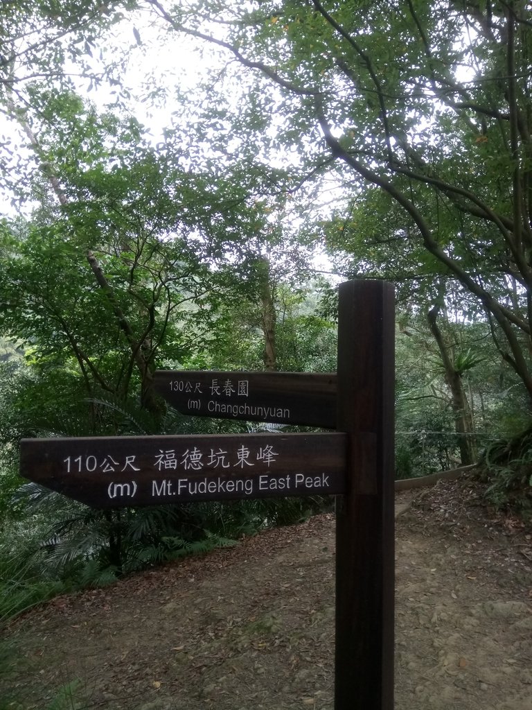 DSC_5154.JPG - 三峽  鳶尾山登山步道