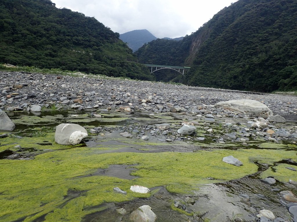 P8156655.JPG - 仁愛  武界  一線天  (上)