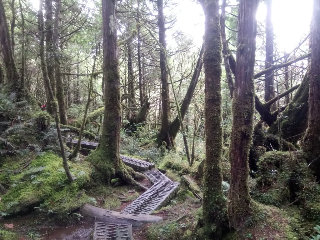 DSC_0065.JPG - 太平山  翠峰湖環山步道  01