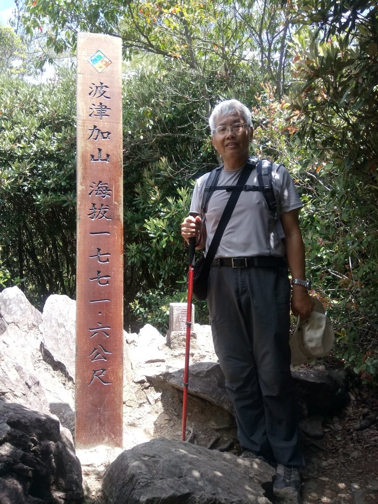 DSC_6520.JPG - 谷關七雄之  波津加山