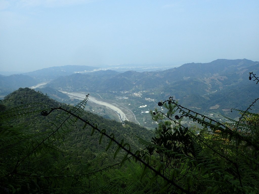 P3217678.JPG - 谷關七雄  白毛山  03