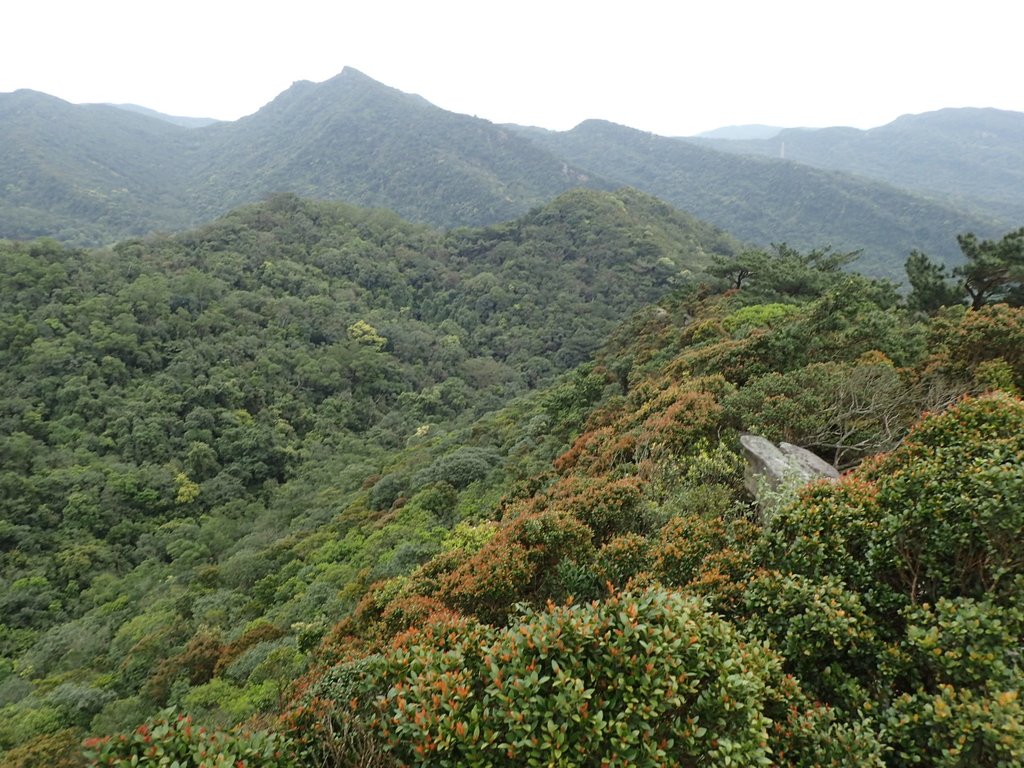 P3160084.JPG - 汐止  柯子林山  如意湖