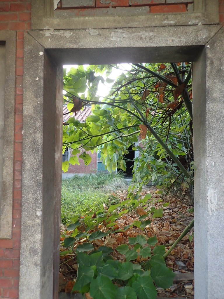 PA196479.JPG - 記憶廢墟  (357)