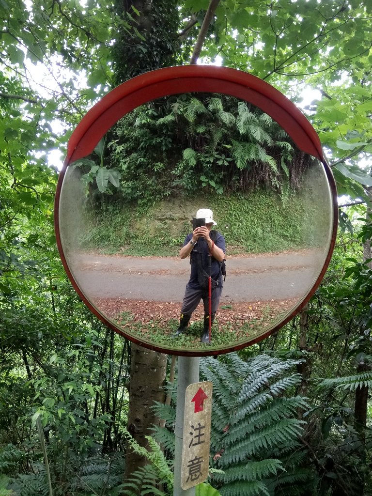 DSC_3021.JPG - 大溪  金面山登山步道