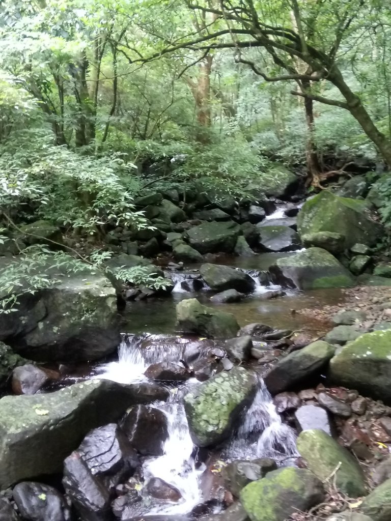 DSC_0699.JPG - 三芝  大屯溪古道