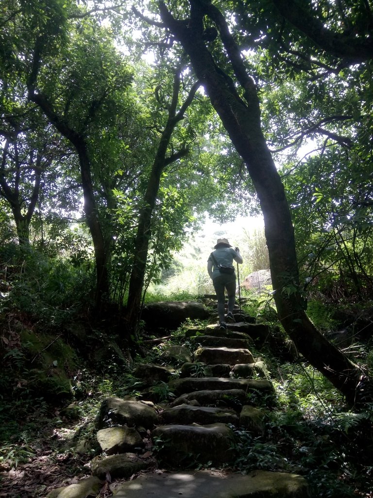 DSC_8647.JPG - 再訪  金包里大道  (魚路古道)